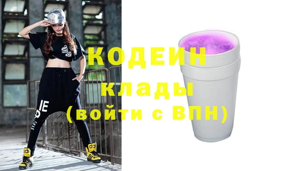 спиды Няндома