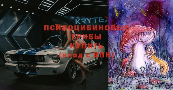 спиды Няндома