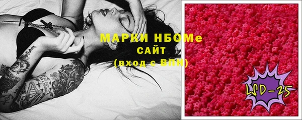 спиды Няндома