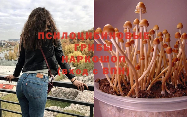 спиды Няндома